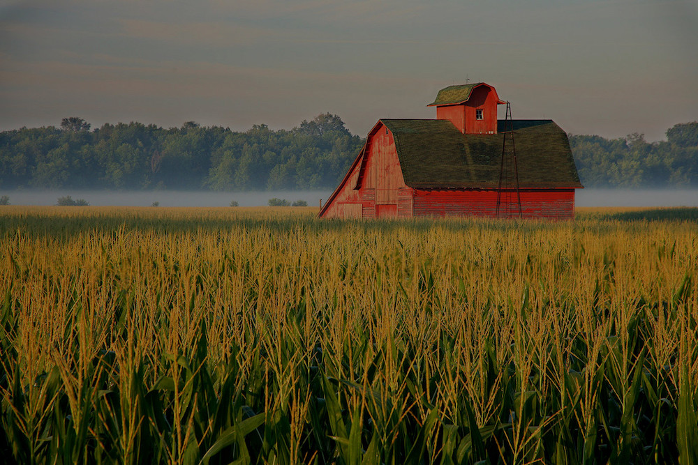 farm and crop insurance Cedar Hill TX